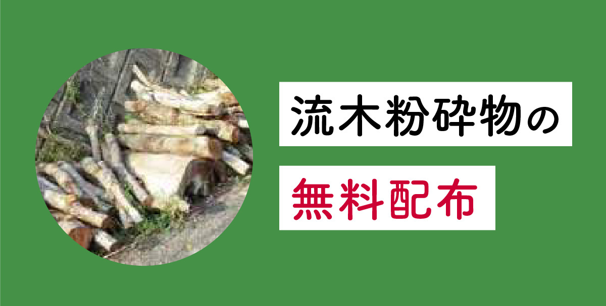 流木粉砕物の無料配布
